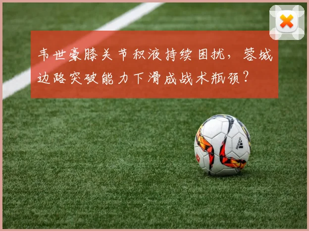 韦世豪膝关节积液持续困扰,蓉城边路突破能力下滑成战术瓶颈?